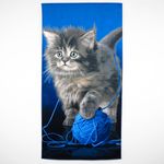 toalha-de-praia-em-algodao-76x152cm-buettner-estampa-cat-with-wool-principal