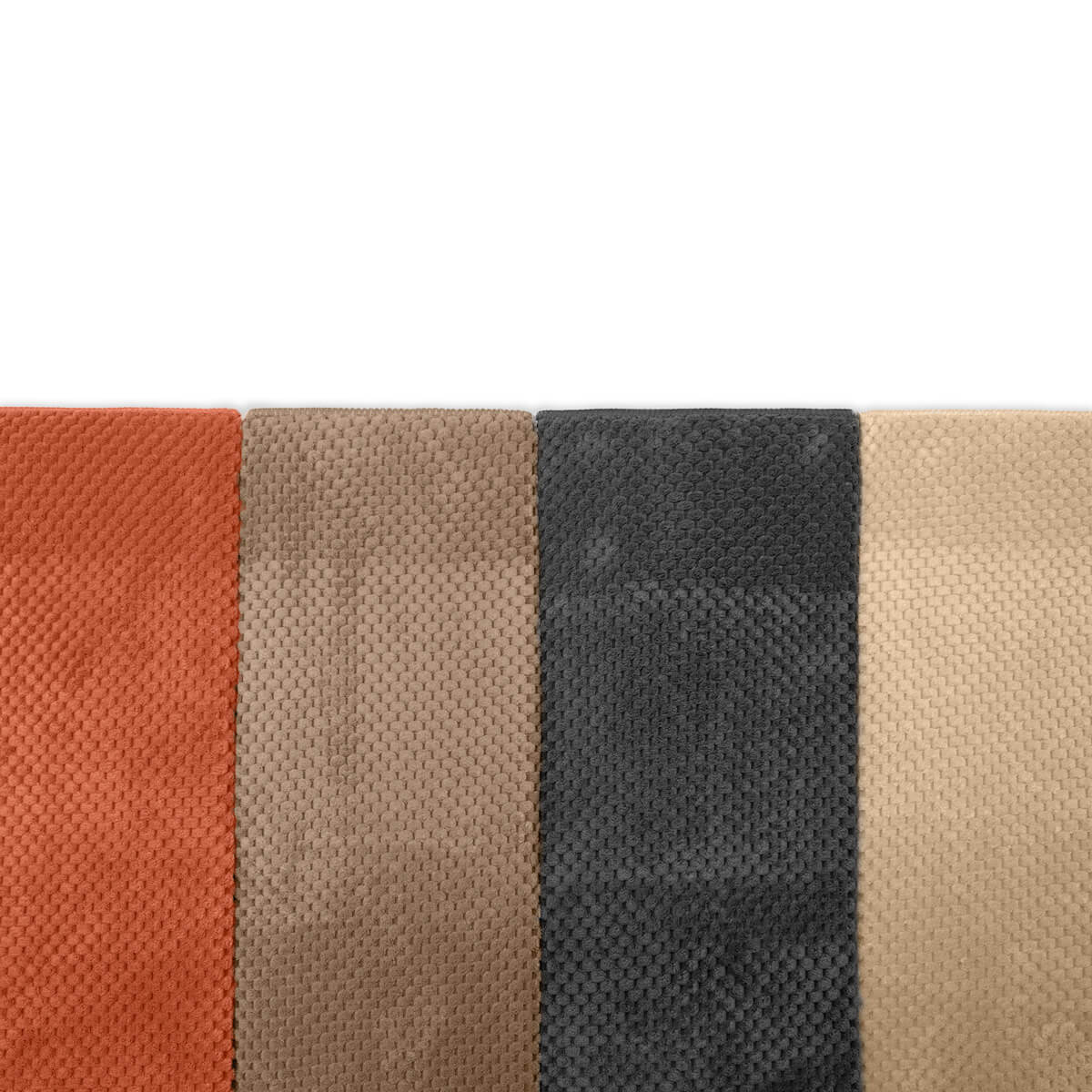 detalhe2